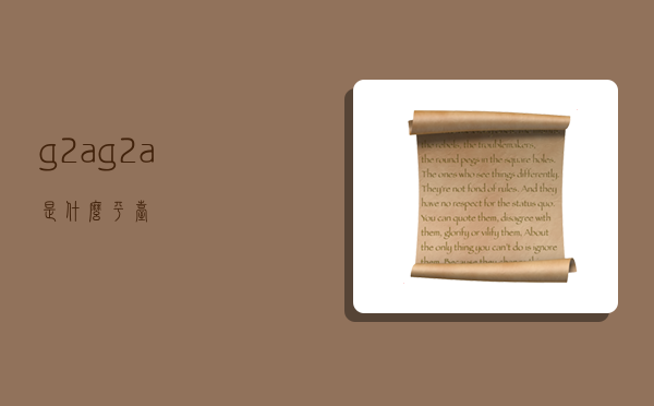 g2a,g2a是什么平台-图1