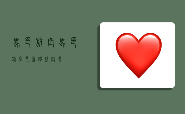 马印航空(马印航空是廉价航空吗)-图1 马印航空(马印航空是廉价航空吗)-图1