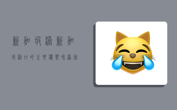 新加坡港,新加坡港口的主要优势和原因-图1