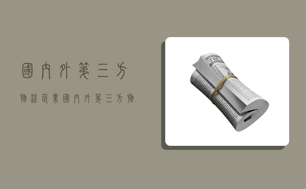 国内外第三方物流企业,国内外第三方物流企业有哪些-图1