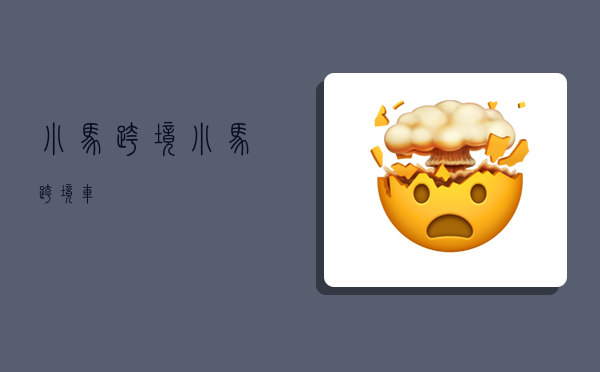 小马跨境,小马跨境车-图1