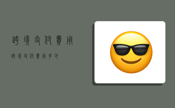 跨境支付费用,跨境支付费用多少-图1