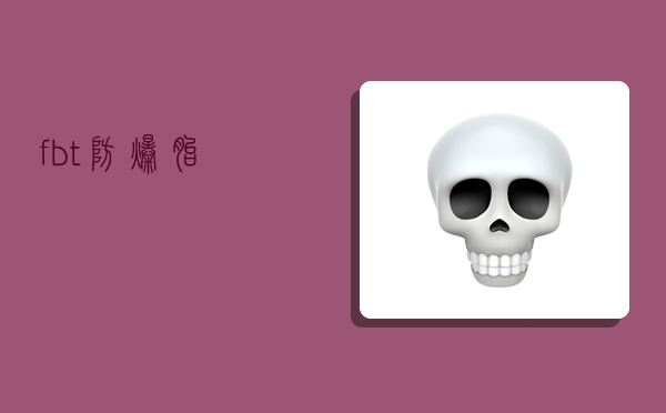 fbt(防爆胎)-图1 fbt(防爆胎)-图1
