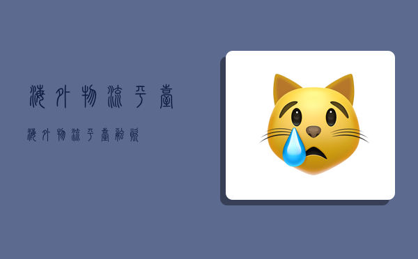 海外物流平台,海外物流平台 融资-图1