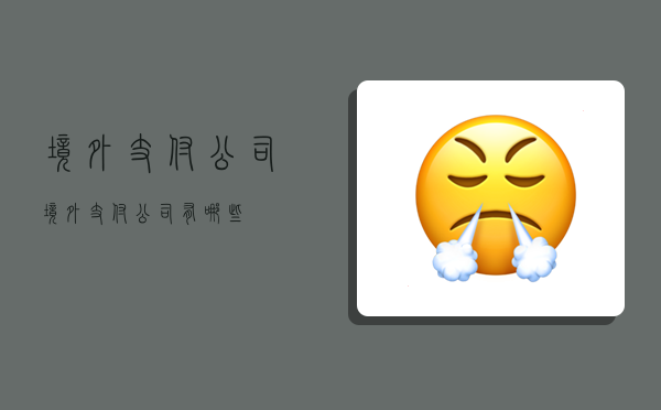 境外支付公司,境外支付公司有哪些?-图1