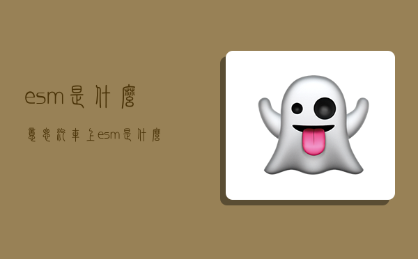 esm是什么意思,汽车上esm是什么意思-图1 esm是什么意思,汽车上esm是什么意思-图1