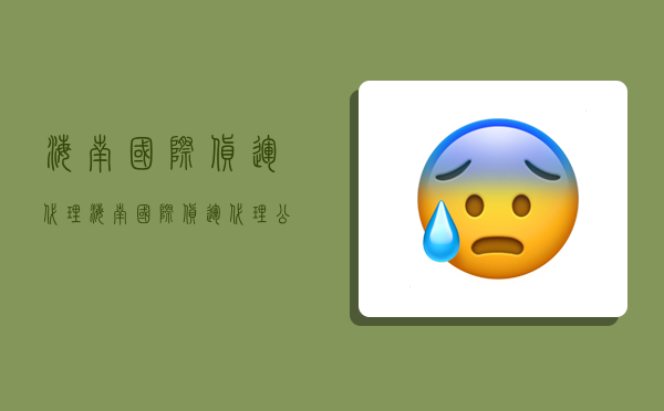 海南国际货运代理,海南国际货运代理公司-图1 海南国际货运代理,海南国际货运代理公司-图1