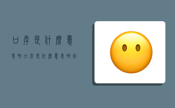 口岸是什么意思啊,口岸是什么意思啊 字词-图1