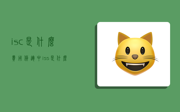 isc是什么费用货运中,iss是什么费用的全称-图1 isc是什么费用货运中,iss是什么费用的全称-图1
