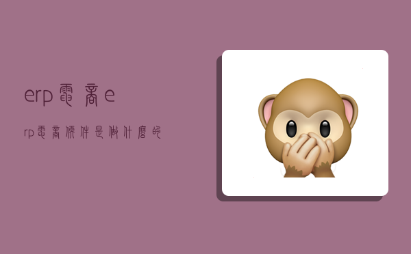 erp电商,erp电商软件是做什么的-图1 erp电商,erp电商软件是做什么的-图1