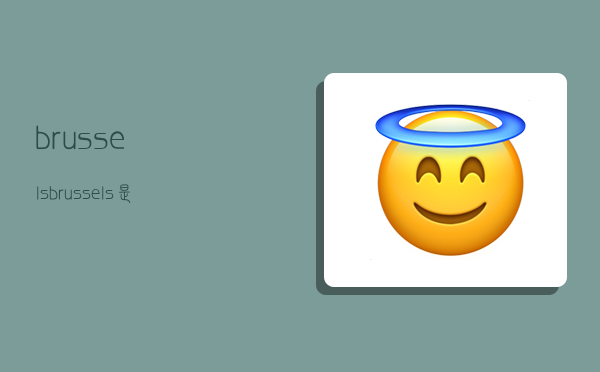 brussels,brussels是哪个国家-图1