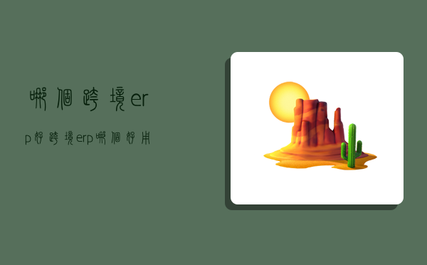 哪个跨境erp好,跨境erp哪个好用-图1