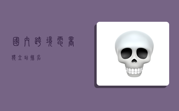 国内跨境电商独立站排名,-图1