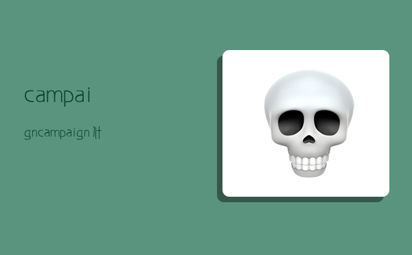 campaign,campaign什么意思-图1 campaign,campaign什么意思-图1