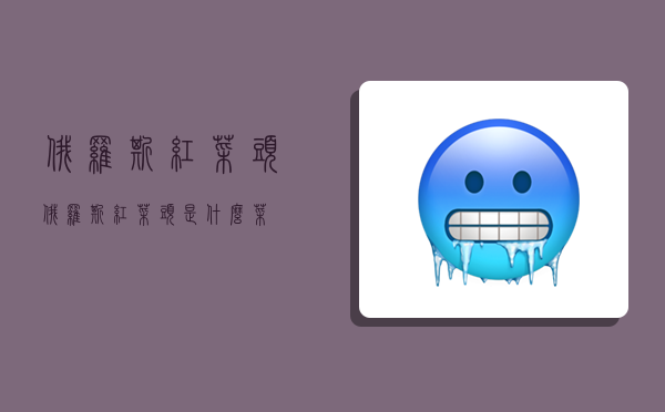 俄罗斯红菜头,俄罗斯红菜头是什么菜-图1