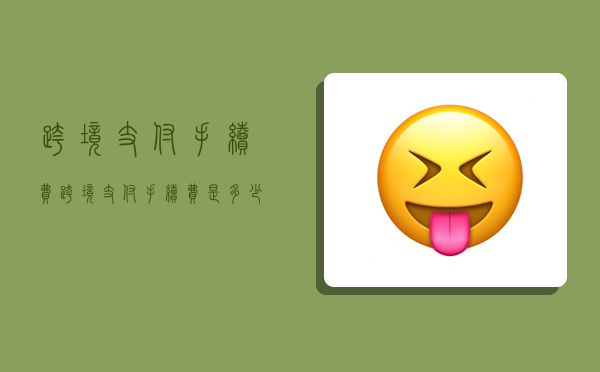 跨境支付手续费,跨境支付手续费是多少?-图1 跨境支付手续费,跨境支付手续费是多少?-图1