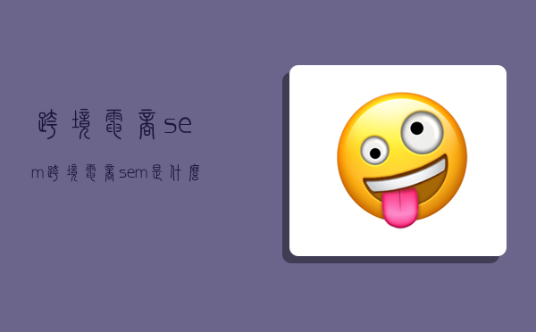跨境电商sem,跨境电商sem是什么意思-图1 跨境电商sem,跨境电商sem是什么意思-图1