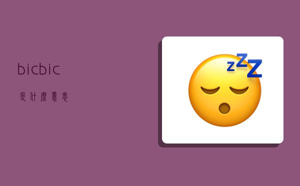 bic,bic是什么意思-图1 bic,bic是什么意思-图1