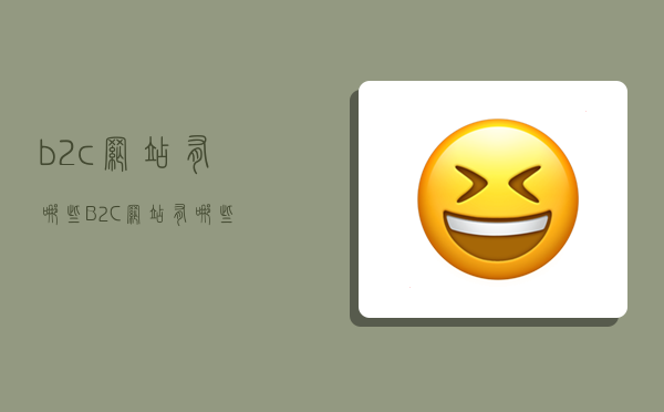 b2c网站有哪些,B2C网站有哪些-图1 b2c网站有哪些,B2C网站有哪些-图1