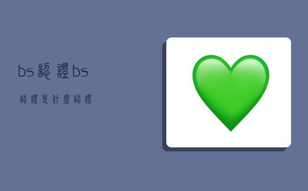 bs认证(bs认证是什么认证)-图1