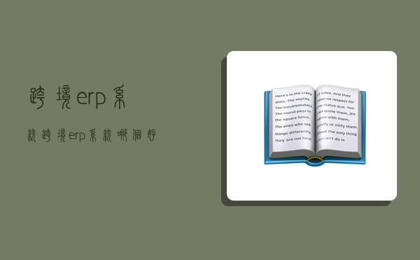 跨境erp系统,跨境erp系统哪个好-图1