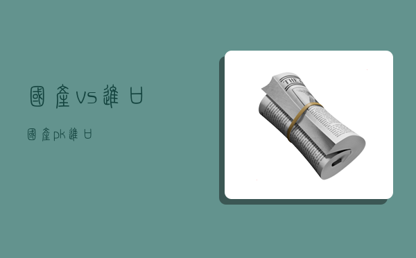 国产vs进口,国产pk进口-图1