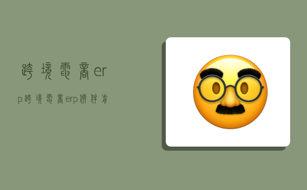 跨境电商erp,跨境电商erp软件前十名-图1