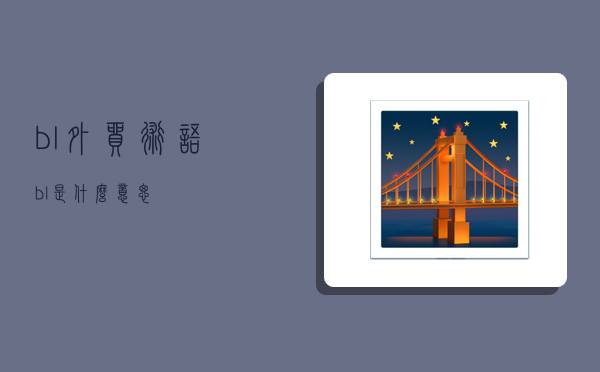 bl外贸术语,bl是什么意思-图1