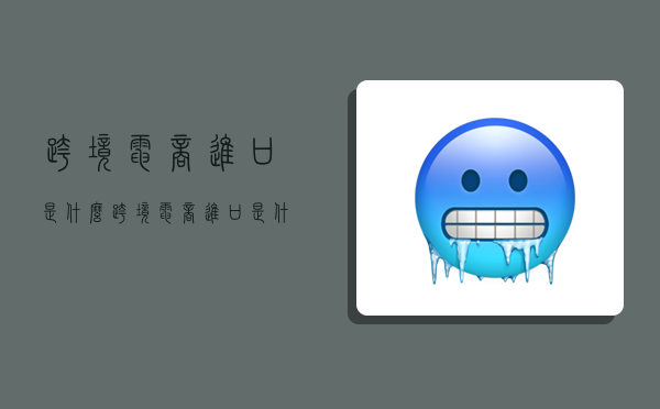 跨境电商进口是什么,跨境电商进口是什么意思-图1