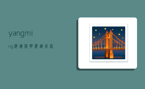 yangming海运,阳明海运官网-图1
