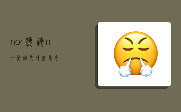 nor 海运,nor海运是什么意思-图1 nor 海运,nor海运是什么意思-图1