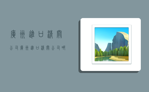 广州进口清关公司,广州进口清关公司哪家好-图1