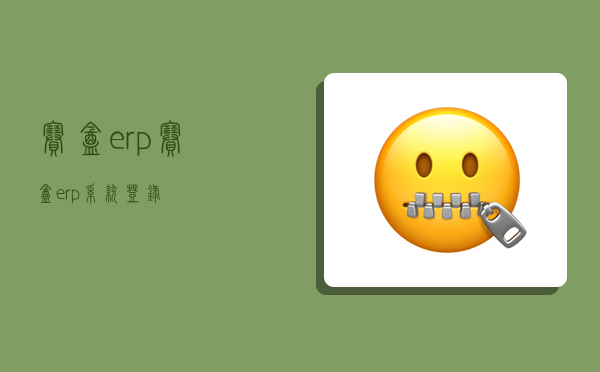 赛盒erp,赛盒erp系统登录-图1