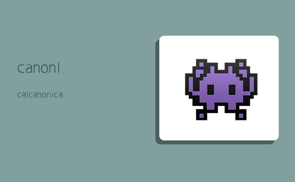 canonical,canonical是什么意思-图1 canonical,canonical是什么意思-图1