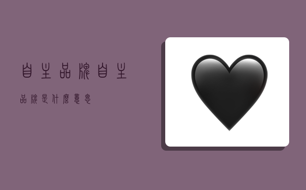 自主品牌,自主品牌是什么意思-图1