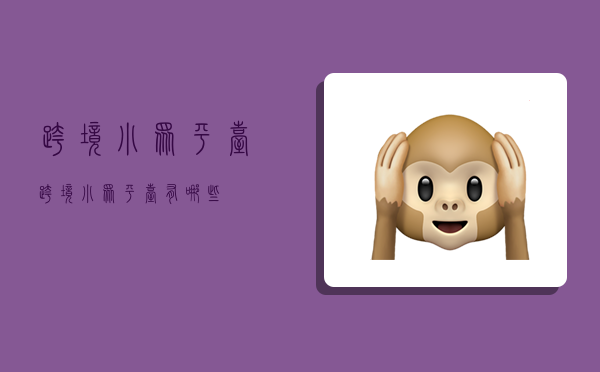 跨境小众平台,跨境小众平台有哪些-图1 跨境小众平台,跨境小众平台有哪些-图1