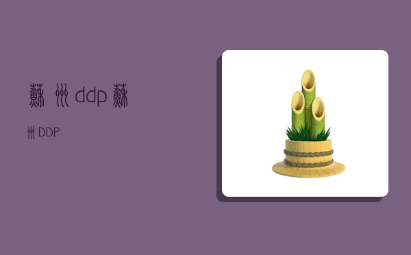 苏州ddp,苏州DDP-图1