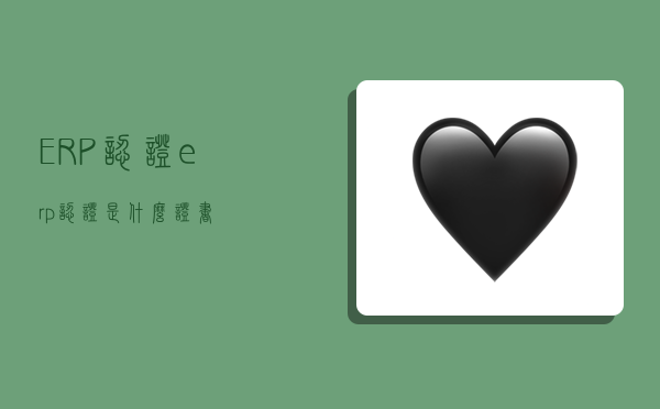 ERP认证,erp认证是什么证书-图1