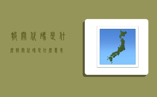 报关代码是什么,报关代码是什么意思-图1