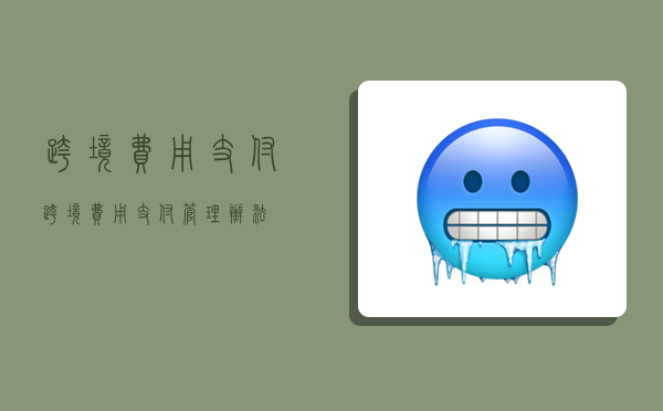 跨境费用支付,跨境费用支付管理办法-图1