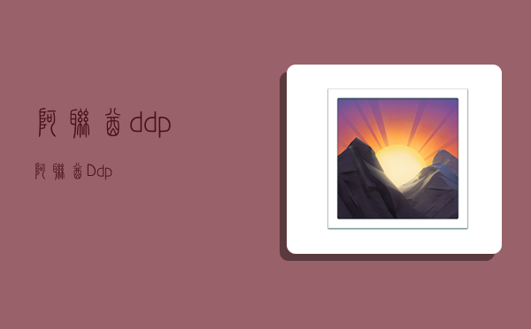 阿联酋ddp,阿联酋Ddp-图1