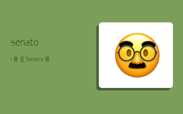 senator货代,Senator货代主要业务-图1