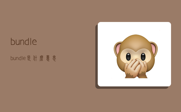 bundle,bundle是什么意思-图1