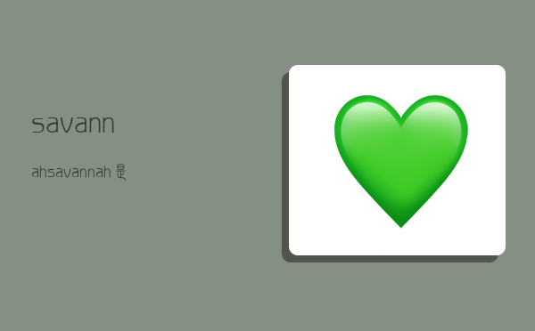 savannah,savannah是哪个国家的港口-图1 savannah,savannah是哪个国家的港口-图1