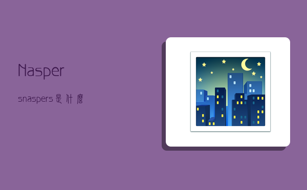 Naspers,naspers是什么公司-图1 Naspers,naspers是什么公司-图1