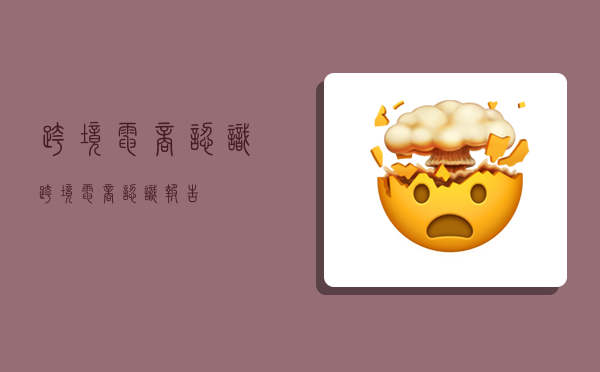 跨境电商认识,跨境电商认识报告-图1