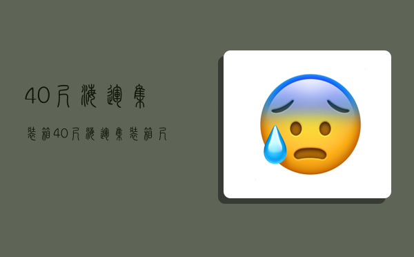 40尺海运集装箱,40尺海运集装箱尺寸-图1