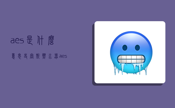 aes是什么意思,史密斯热水器aes是什么意思-图1 aes是什么意思,史密斯热水器aes是什么意思-图1