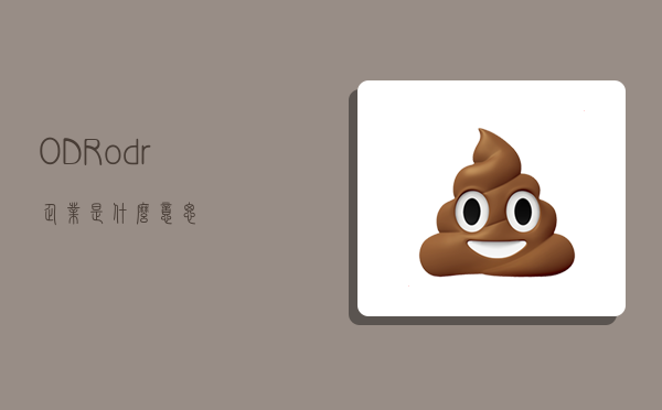 ODR,odr企业是什么意思-图1 ODR,odr企业是什么意思-图1