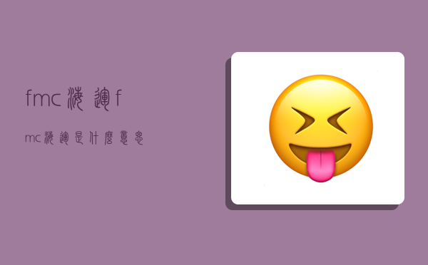 fmc海运,fmc海运是什么意思-图1